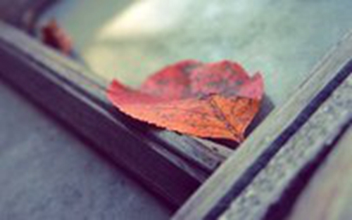 情感语录爱情句子带图2