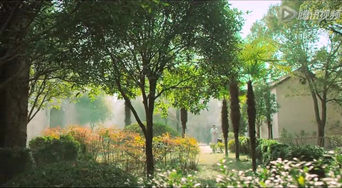 李官旅游景点(李官旅游景点茶山公园) 李官旅游景点(李官旅游景点茶山公园)