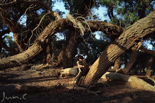 遂溪旅游景点大全(遂溪旅游景点大全排名) 遂溪旅游景点大全(遂溪旅游景点大全排名)
