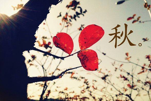 关于我们的说说句子