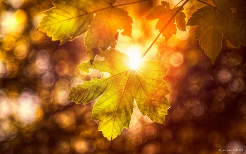 过年回家前简短的说说