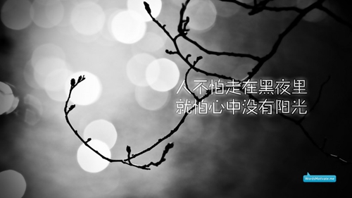 生日朋友圈动态图片说说