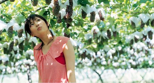 写事结尾优美句子摘抄大全
