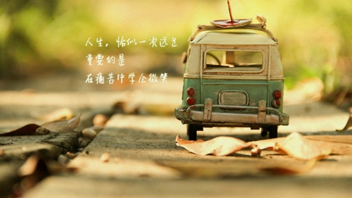 姓施取什么网名