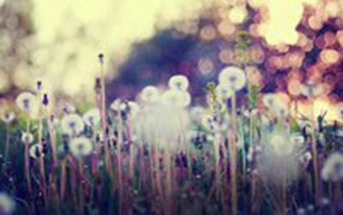 2025关于个性的朋友圈说说