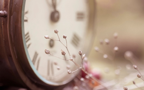 禹洲中央广场房价多少钱一平？4
