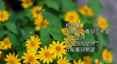 水虎换牙嘴巴不对称