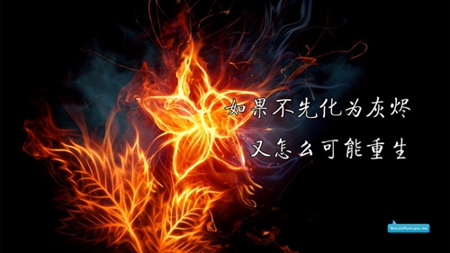 的说说大全