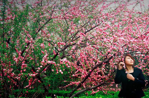 你知道春节的歌 你知道春节的歌