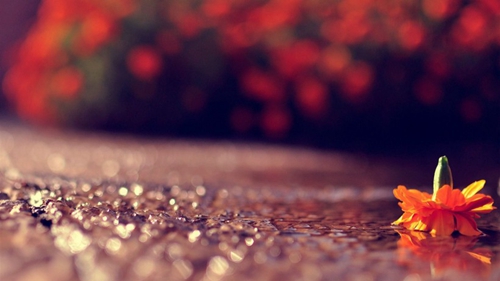 一把小棍子的游戏 一把小棍子的游戏