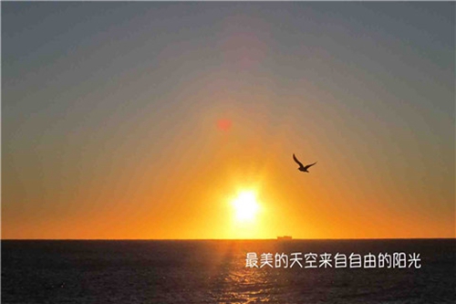 安规电容图片