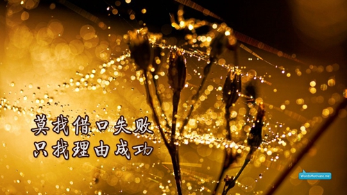 无忧无虑无牵无挂个性说说（精选15句）