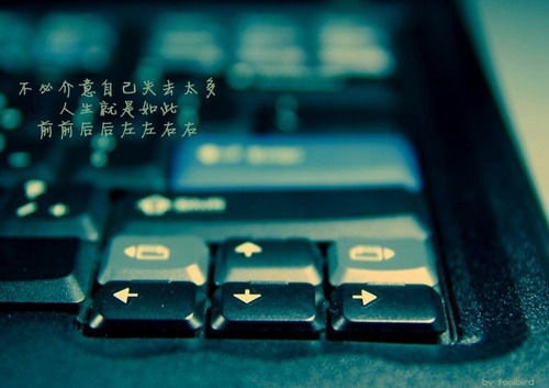 创业初期选好赛道的原则包括