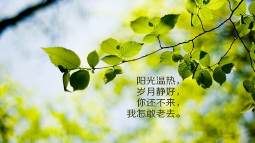 运动护具加盟品牌现在哪些比较可靠
