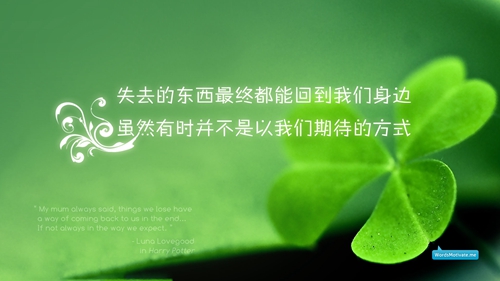 府谷县加绒卫衣加盟投资创业寻找优质项目，开启致富之路