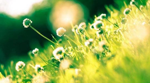 定安踢脚线加盟店投资效益分析与研究