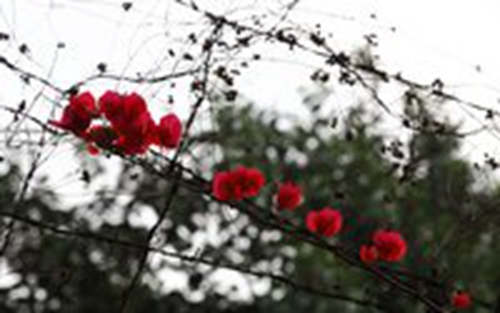 抖音怎么直播赚钱