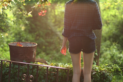 依然如故是指什么生肖 依然如故是指什么生肖