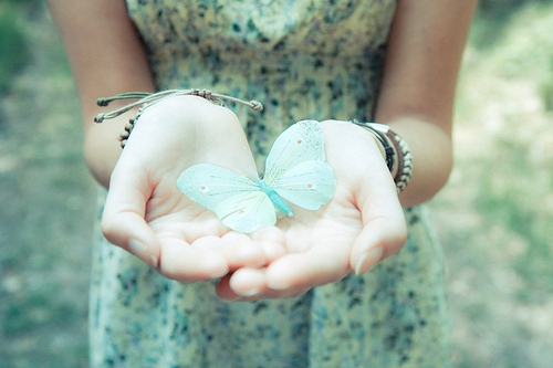 昌都面馆加盟费多少 昌都面馆加盟费多少