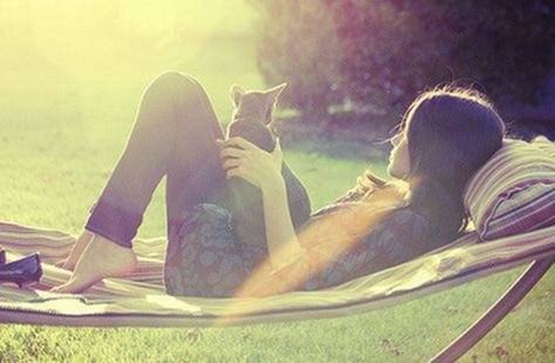 平菇包菜炒肉片的做法 平菇包菜炒肉片的做法