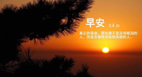 可以看电视干嘛