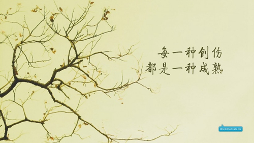 带芳字网名用什么好听些
