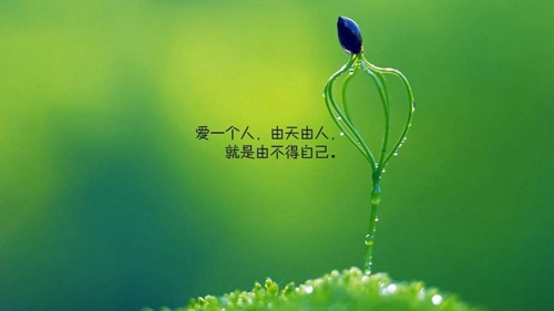 20句不肯的晚安说说