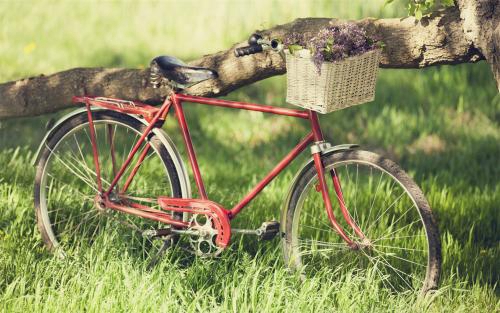 2026电砂锅加盟店什么品牌有优势