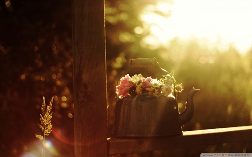 生日礼品店创业计划怎么写