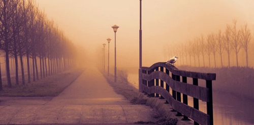 张学友是天意吧是什么歌 张学友是天意吧是什么歌