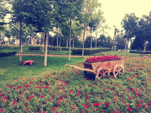 皇喜大米品牌介绍