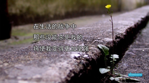 雅居蓝湾花园