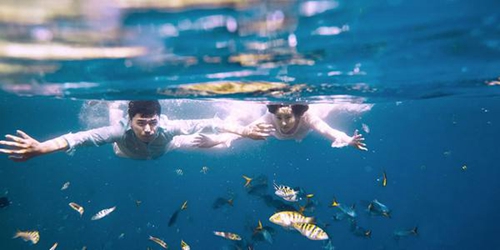 雪绒堡